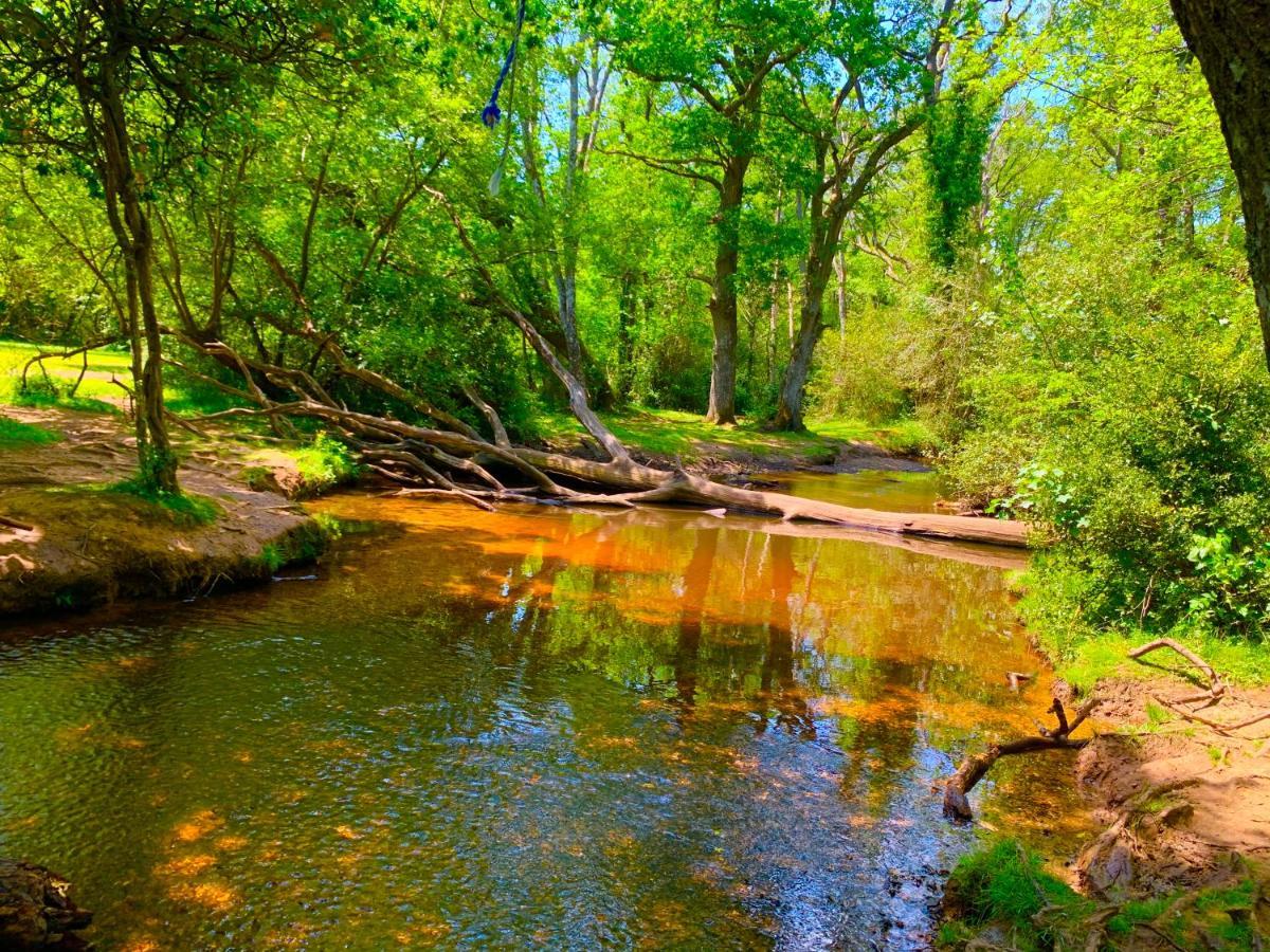 Forest Haven Sway Екстериор снимка