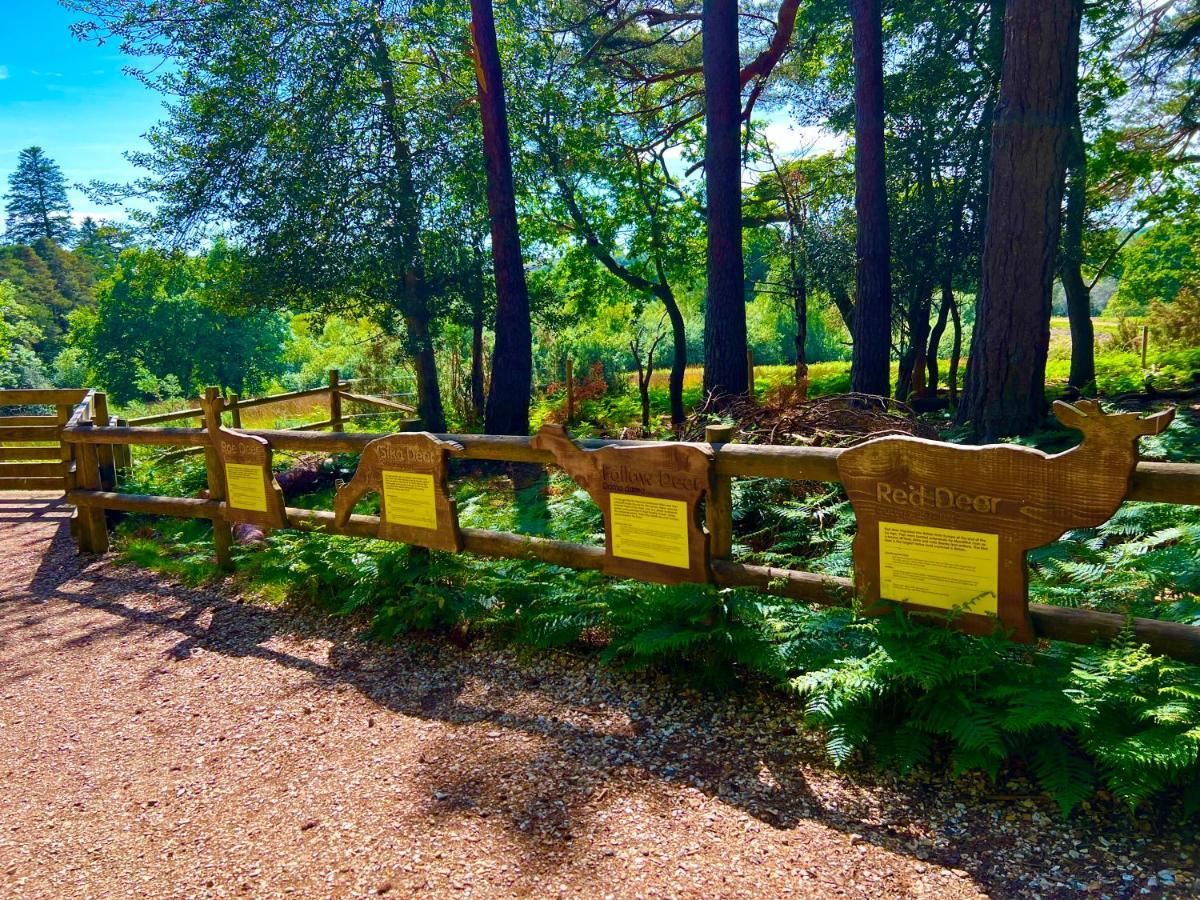 Forest Haven Sway Екстериор снимка